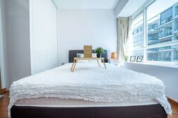 Suites At Orchard (D9), Apartment #485475821